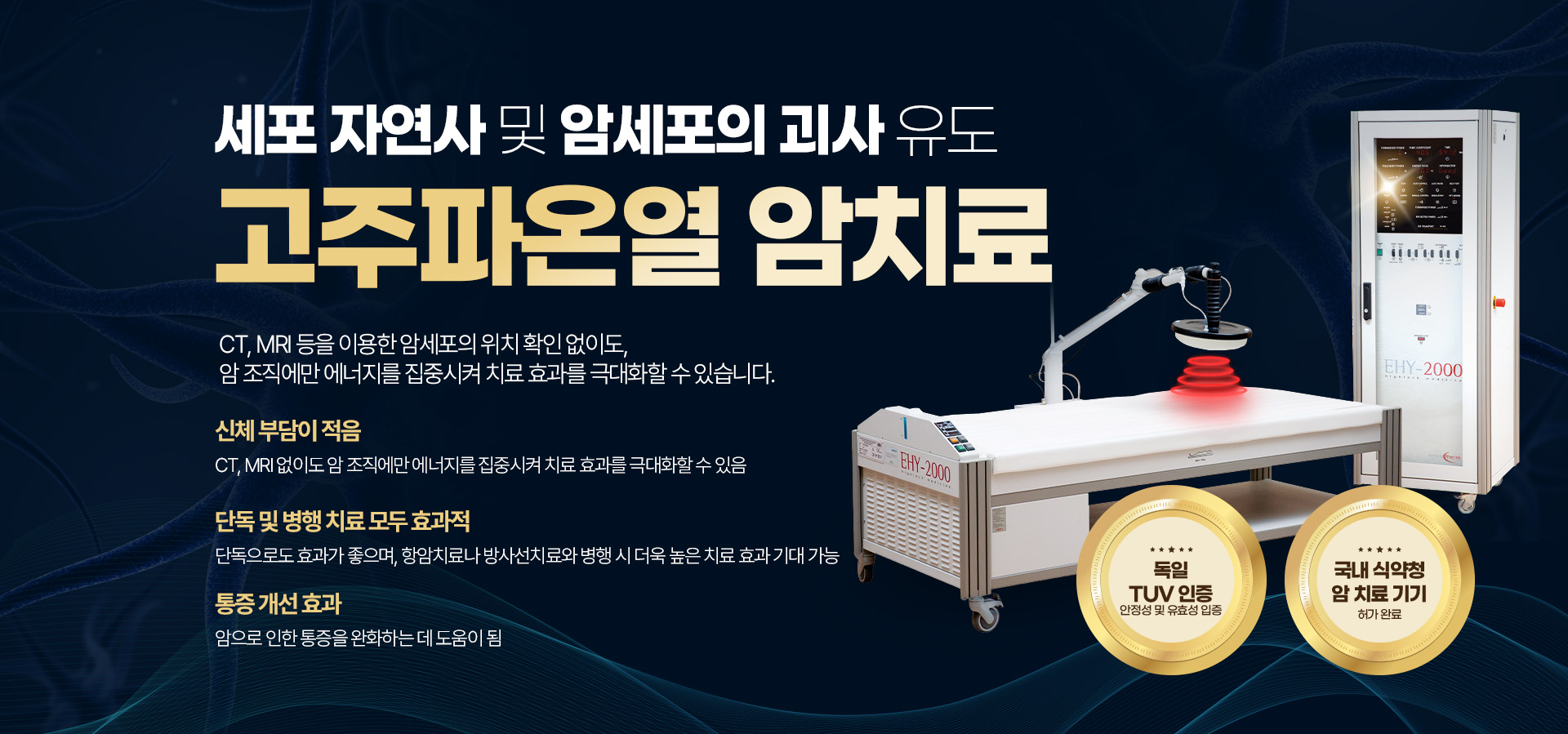 세포 자연사 및 암세포의 괴사 유도 고주파온열 암치료